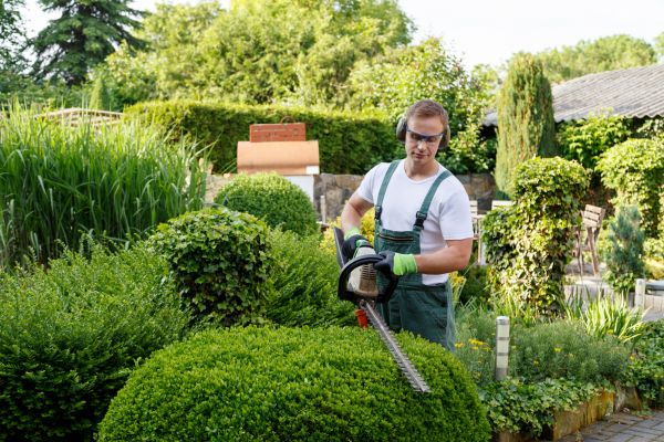 Cost of Shrub Maintenance in Niceville