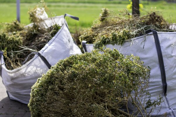 Cost of Shrubs Removal in Niceville