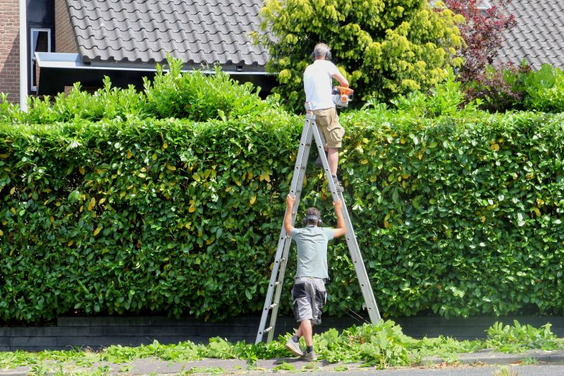 Hedge Pruning detail