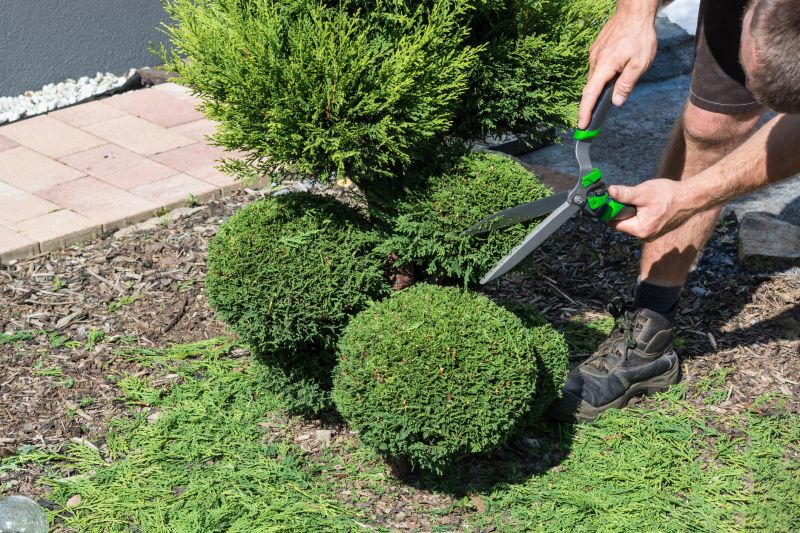 Shrub Trimming Service